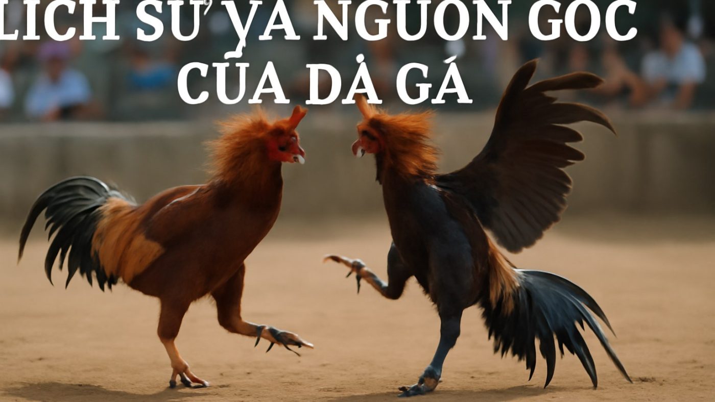 Minh họa: Lịch Sử và Nguồn Gốc của Đá Gà
